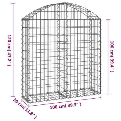 vidaXL Arched Gabion Basket 100x30x100/120 cm Galvanised Iron