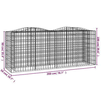 vidaXL Arched Gabion Raised Bed 200x50x100 cm Galvanised Iron