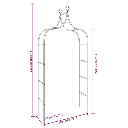 vidaXL Garden Arches 2 pcs Black 120x38x260 cm Steel