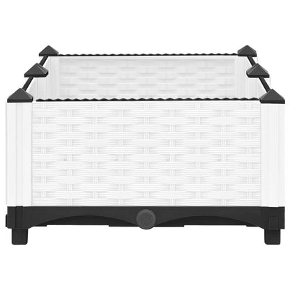 vidaXL Raised Bed 80x40x23 cm Polypropylene