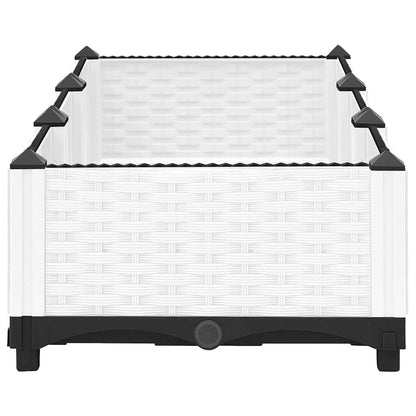 vidaXL Raised Bed 120x40x23 cm Polypropylene