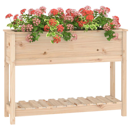 vidaXL Planter with Shelf 111,5x34,5x81 cm Solid Wood Pine