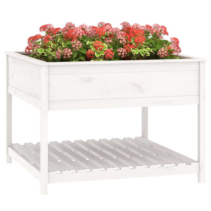 vidaXL Planter with Shelf White 111.5x111.5x81 cm Solid Wood Pine