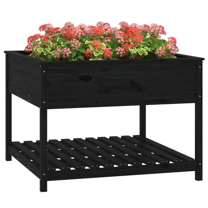 vidaXL Planter with Shelf Black 111,5x111,5x81 cm Solid Wood Pine