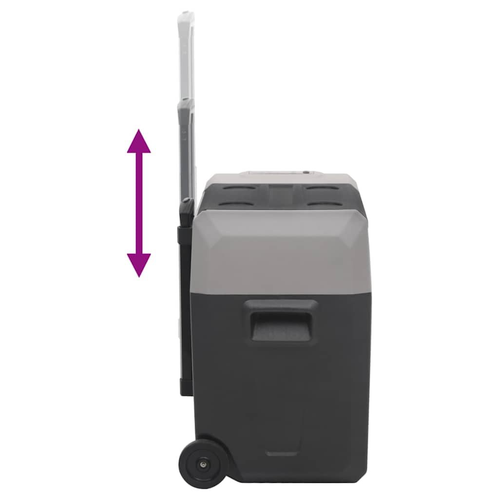 vidaXL Cool Box with Wheel and Handle Black&Grey 40 L Polypropylene