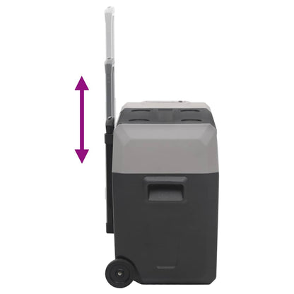 vidaXL Cool Box with Wheel and Handle Black&Grey 40 L Polypropylene