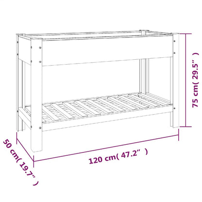vidaXL Garden Raised Bed with Shelf Grey 120x50x75 cm WPC