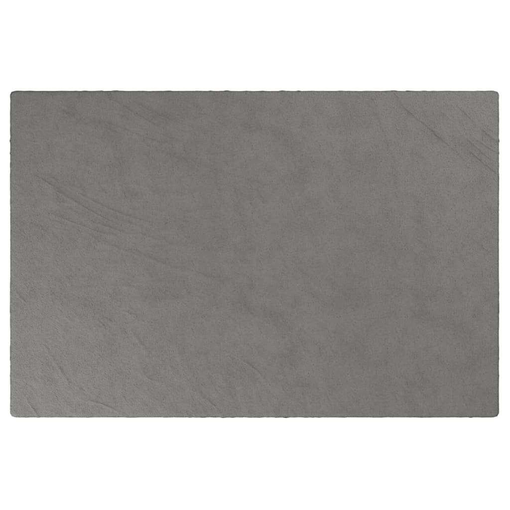 vidaXL Weighted Blanket with Cover Grey 122x183 cm 5 kg Fabric