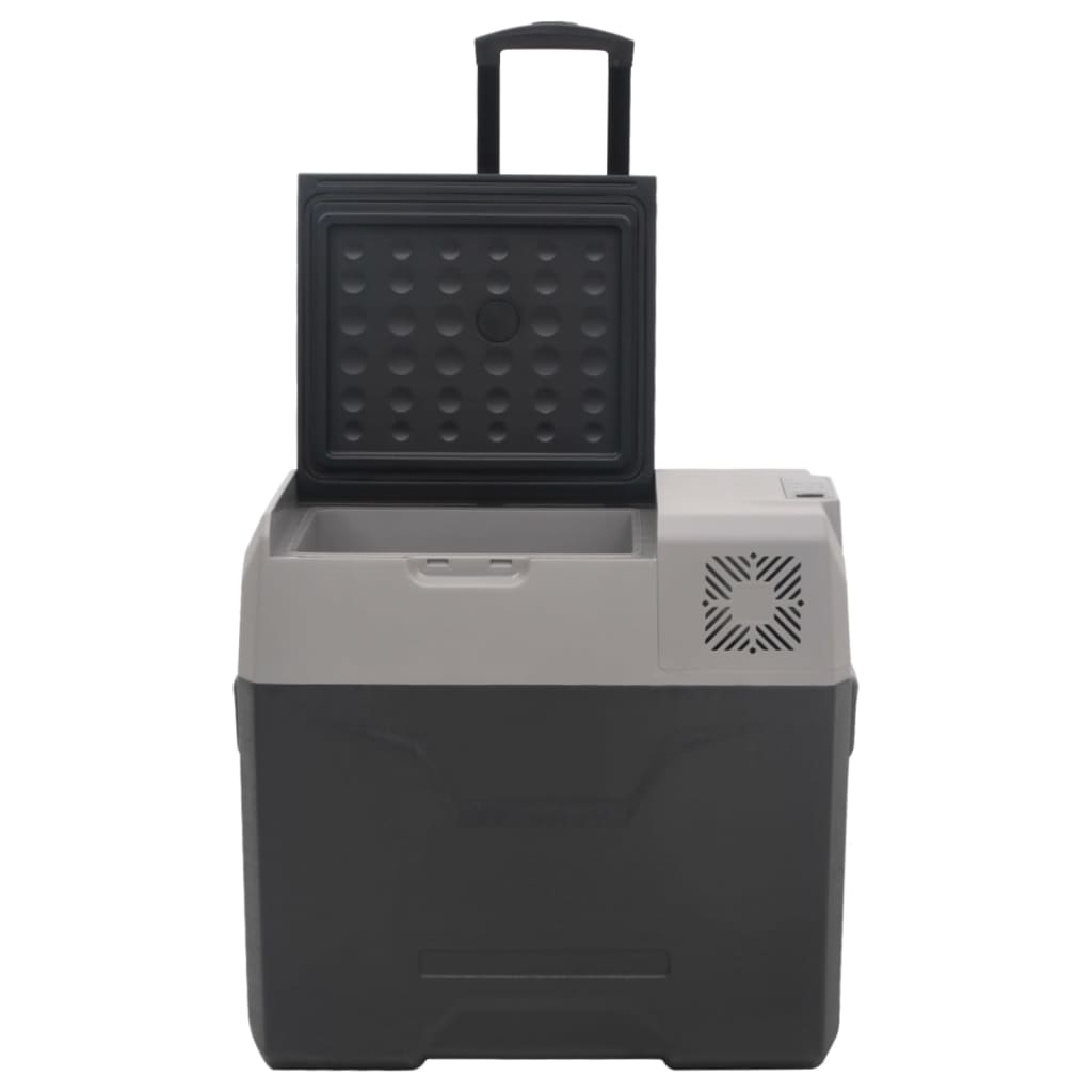 vidaXL Cool Box with Wheel and Handle Black&Grey 30 L Polypropylene (UK/IE only)