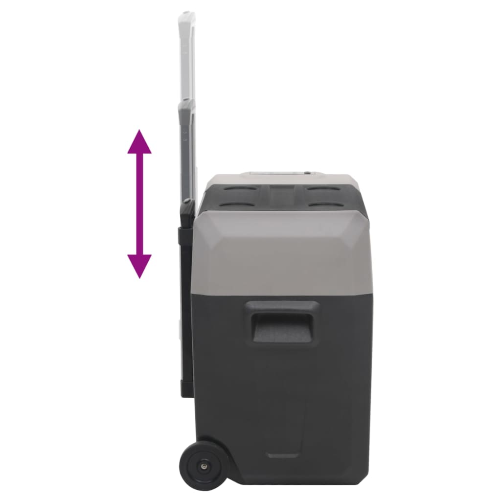 vidaXL Cool Box with Wheel and Handle Black&Grey 40 L Polypropylene (UK/IE only)