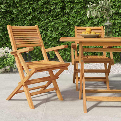 vidaXL Folding Garden Chair | Set of 2 | Natural Teak | Solid teak wood