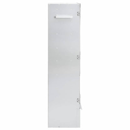 vidaXL BBQ Oven Smoker with Wood Chips 44,5x29x110 cm Galvanised Steel