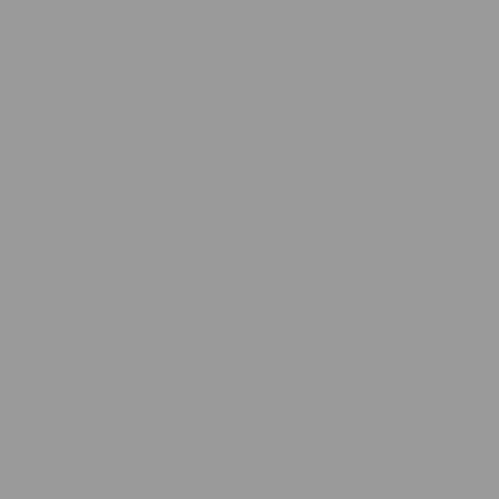 vidaXL Garden Shed with Extended Roof Light Grey 277x107x181 cm Steel