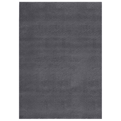 vidaXL Washable Rug Soft Shaggy Anthracite 160x230 cm Anti Slip