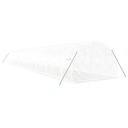 vidaXL Greenhouse with Steel Frame White 60 m² 20x3x2 m