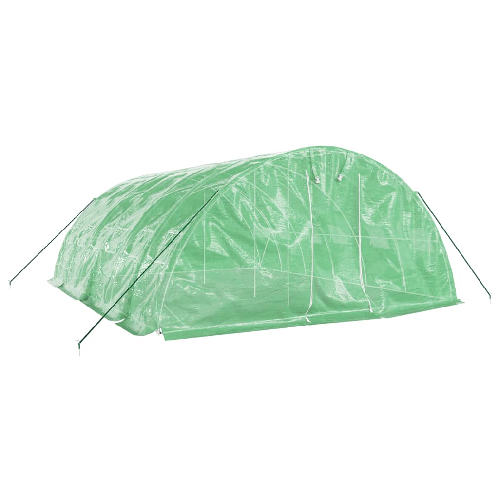 vidaXL Greenhouse with Steel Frame Green 30 m² 6x5x2.3 m