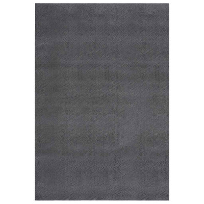 vidaXL Shaggy Rug Anthracite 240x340 cm Polyester