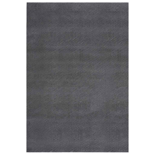 vidaXL Shaggy Rug Anthracite 240x340 cm Polyester