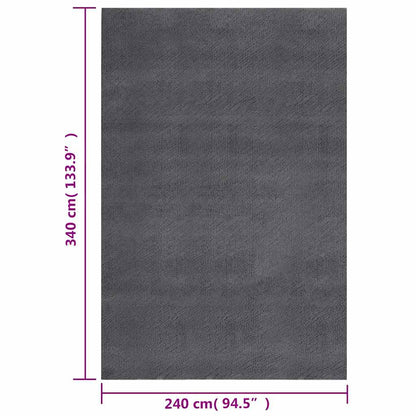vidaXL Shaggy Rug Anthracite 240x340 cm Polyester