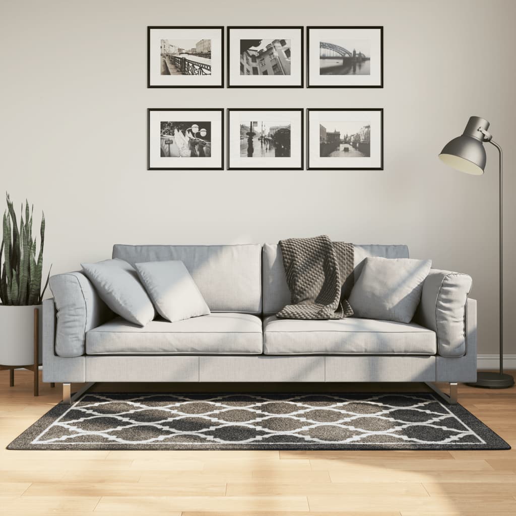 vidaXL Rug Washable Black and White 80x150 cm