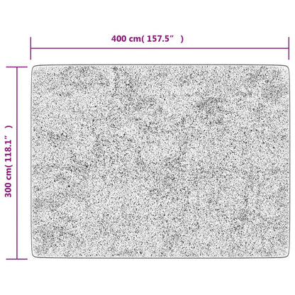 vidaXL Rug Washable Anthracite 400x300 cm