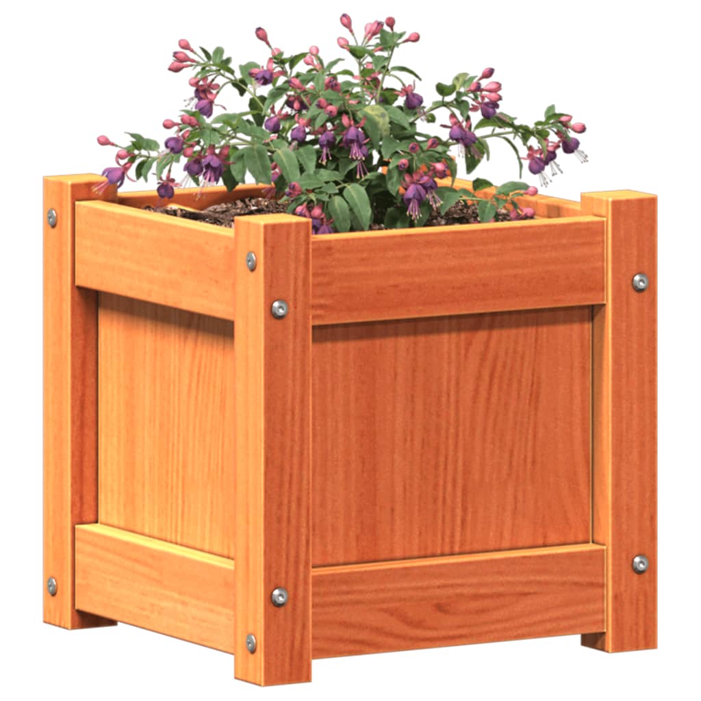 vidaXL Garden Planter Wax Brown 31x31x31 cm Solid Wood Pine