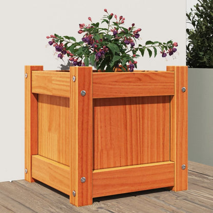 vidaXL Garden Planter Wax Brown 31x31x31 cm Solid Wood Pine