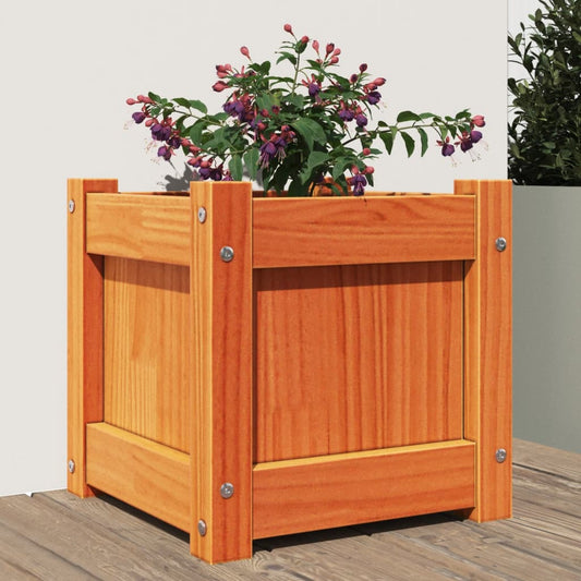 vidaXL Garden Planter Wax Brown 31x31x31 cm Solid Wood Pine
