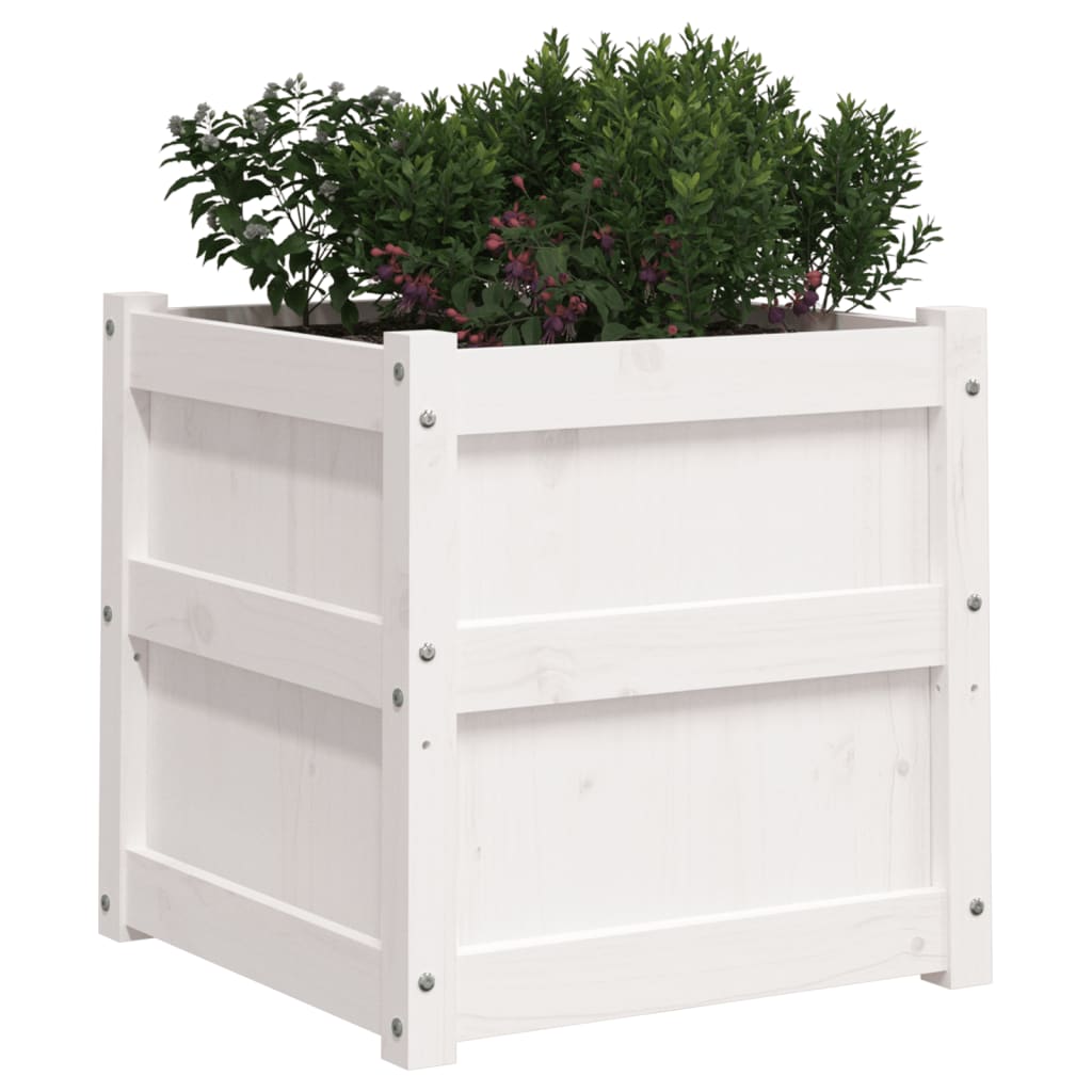 vidaXL Garden Planter White 50x50x50 cm Solid Wood Pine