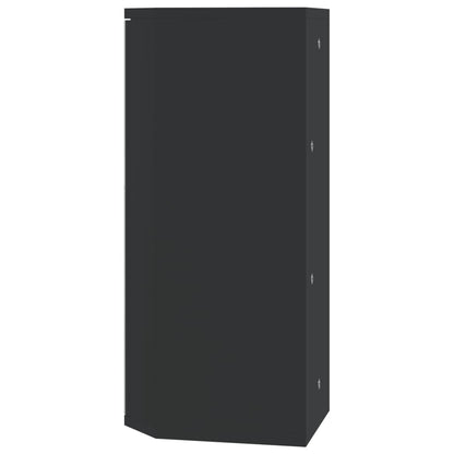 vidaXL Corner Bathroom Mirror Cabinet Black 30x24x60 cm