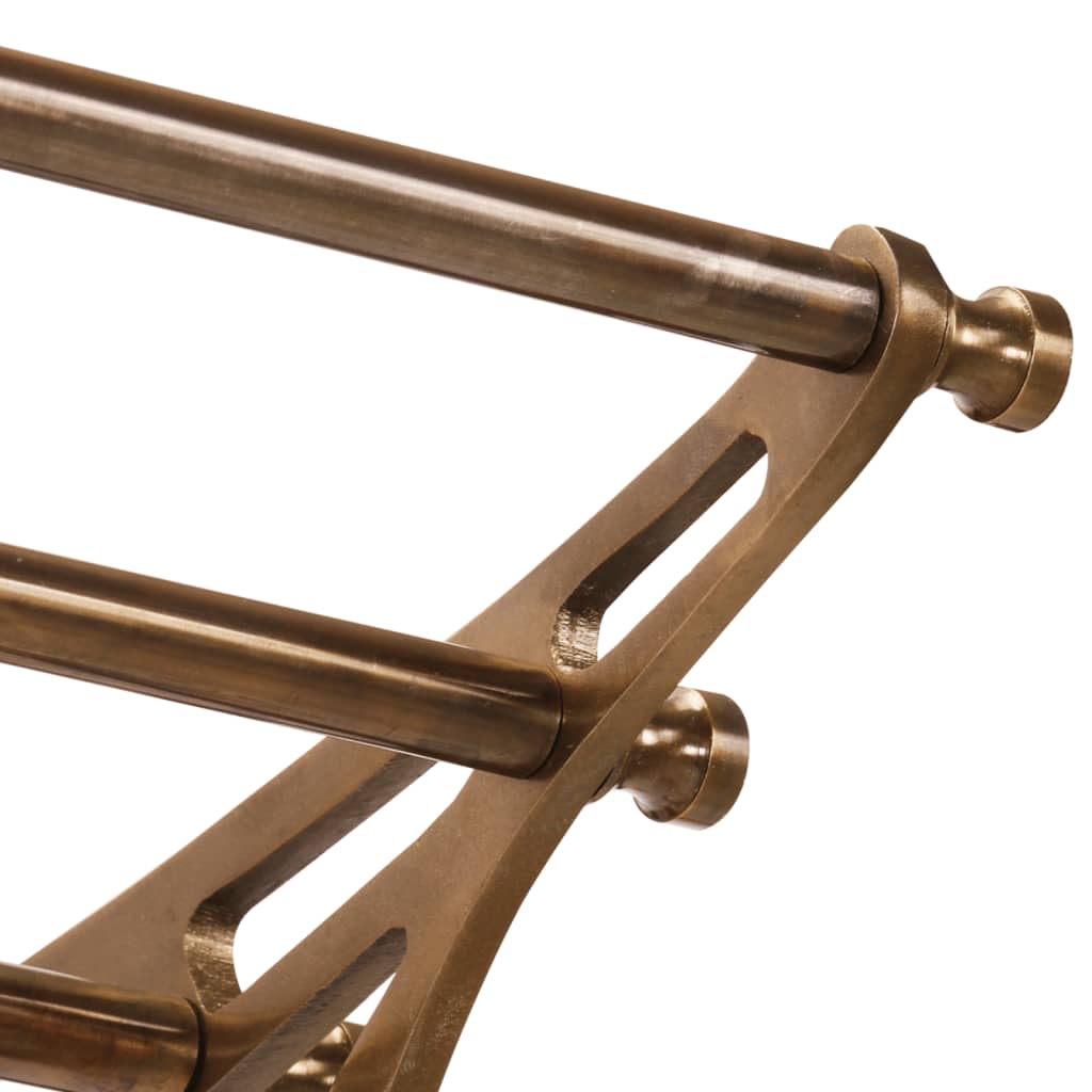 vidaXL Luggage Rack with Coat Hangers Wall Mounted Aluminium