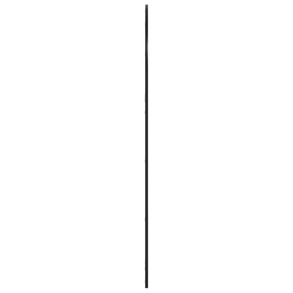 vidaXL Wall Mirror | Black | Glass, Iron | 150 x 100 cm | Minimalistic