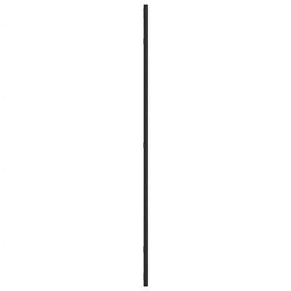 vidaXL Wall Mirror Black 50x100 cm Rectangle Iron