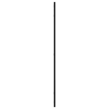 vidaXL Wall Mirror Black 60x100 cm Rectangle Iron