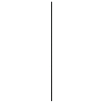 vidaXL Wall Mirror Black 30x100 cm Rectangle Iron