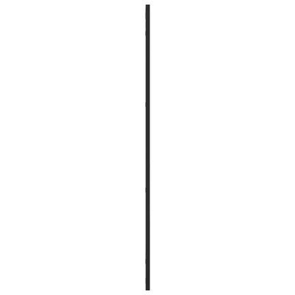 vidaXL Wall Mirror Black 50x100 cm Rectangle Iron