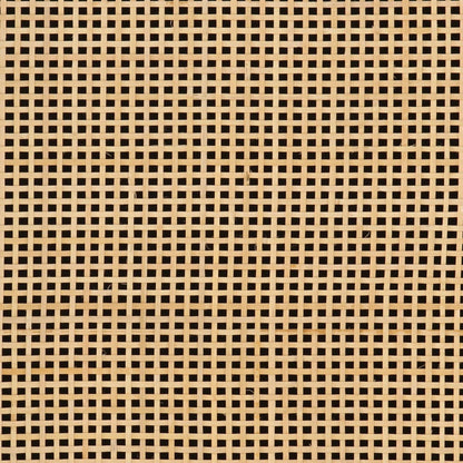 vidaXL Sideboard Black 55x30x76 cm Solid Wood Mango and Iron