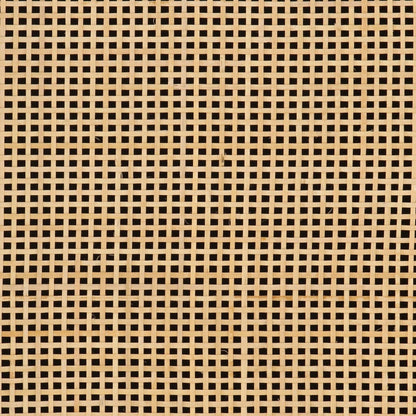 vidaXL Sideboard Black 55x30x76 cm Solid Wood Mango and Iron