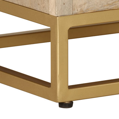 vidaXL Bedside Cabinet 40x30x50 cm Solid Wood Mango and Iron
