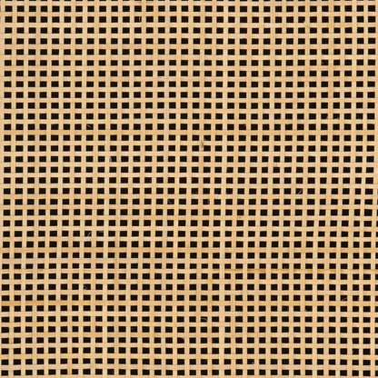 vidaXL Bedside Cabinet 40x30x50 cm Solid Wood Mango and Iron