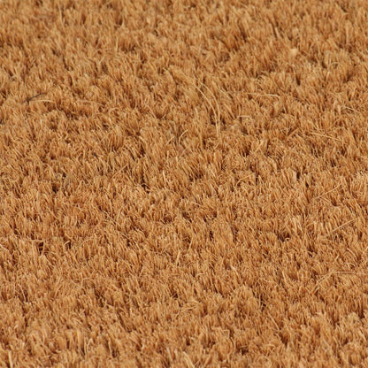 vidaXL Door Mats 2 pcs Natural 40x60 cm Tufted Coir
