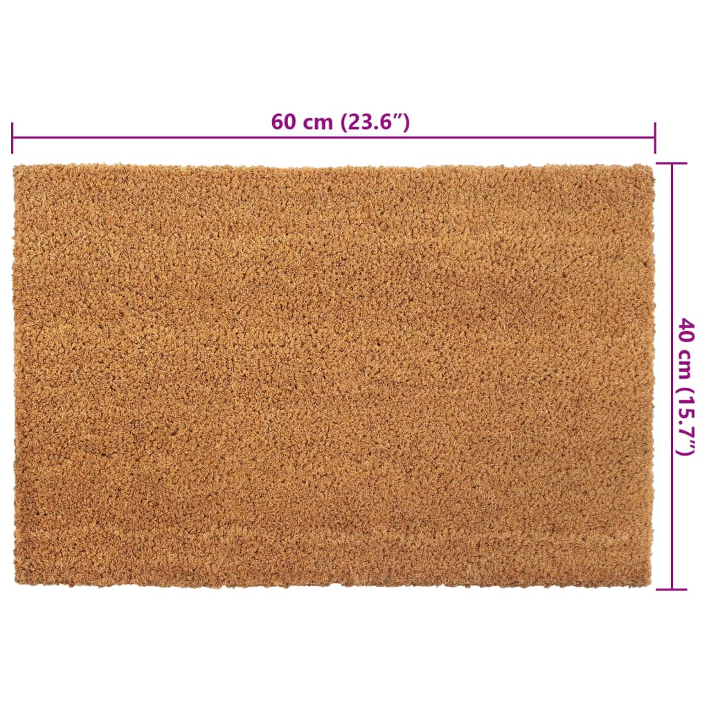 vidaXL Door Mats 2 pcs Natural 40x60 cm Tufted Coir
