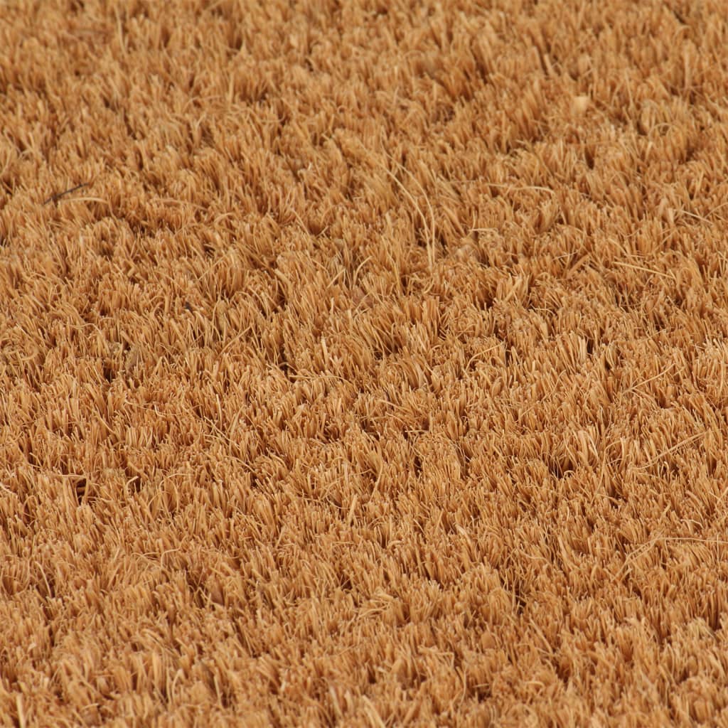 vidaXL Door Mats 2 pcs Natural 40x60 cm Tufted Coir