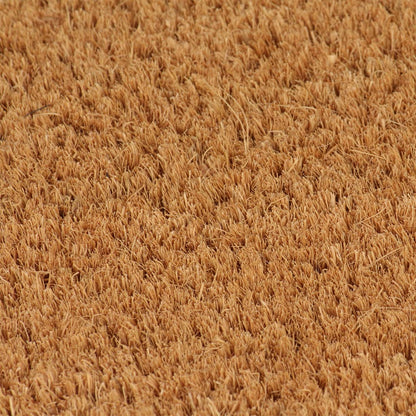 vidaXL Door Mats 2 pcs Natural 40x60 cm Tufted Coir