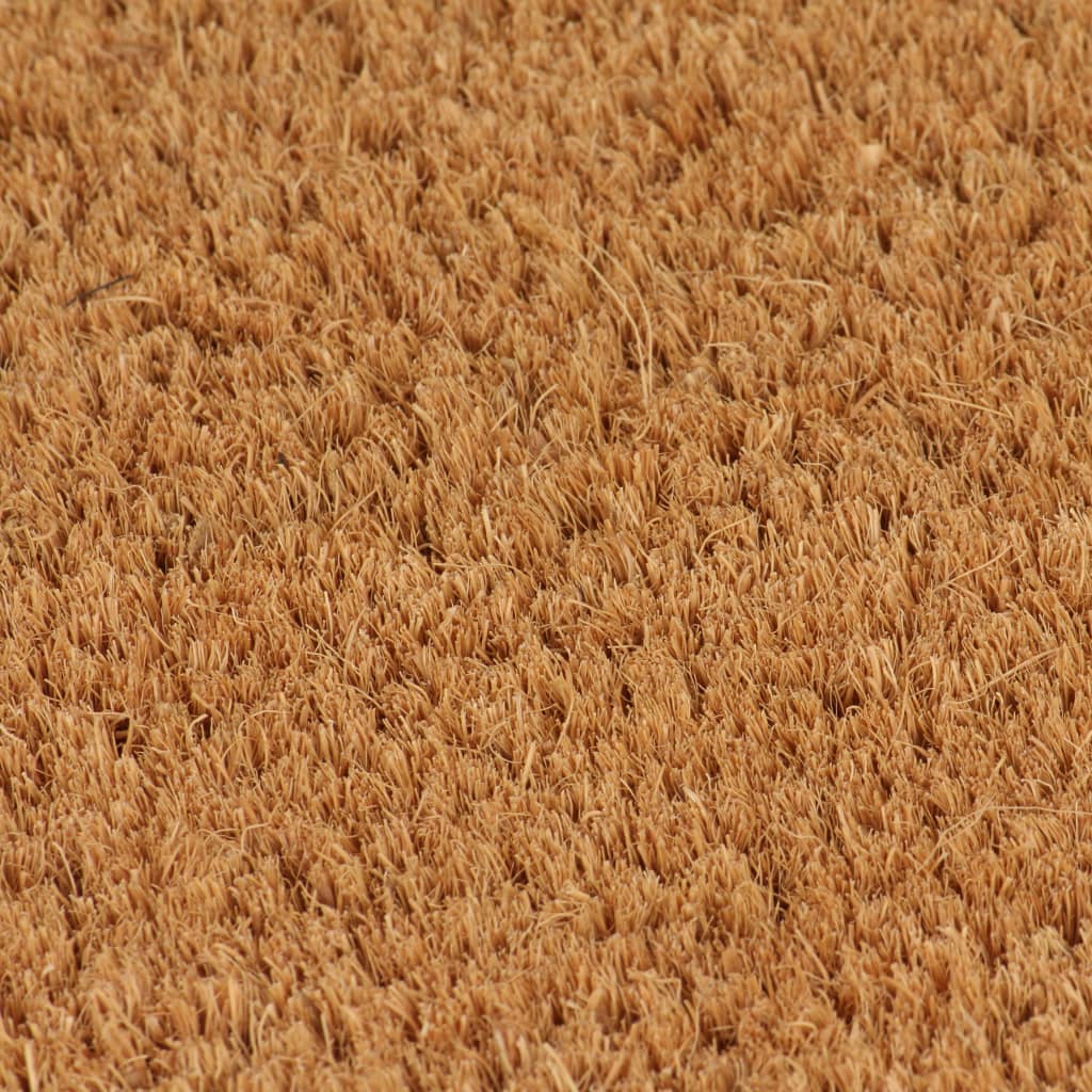 vidaXL Door Mat Natural 50x80 cm Tufted Coir