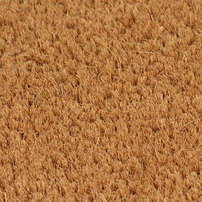 vidaXL Door Mat Natural 50x80 cm Tufted Coir