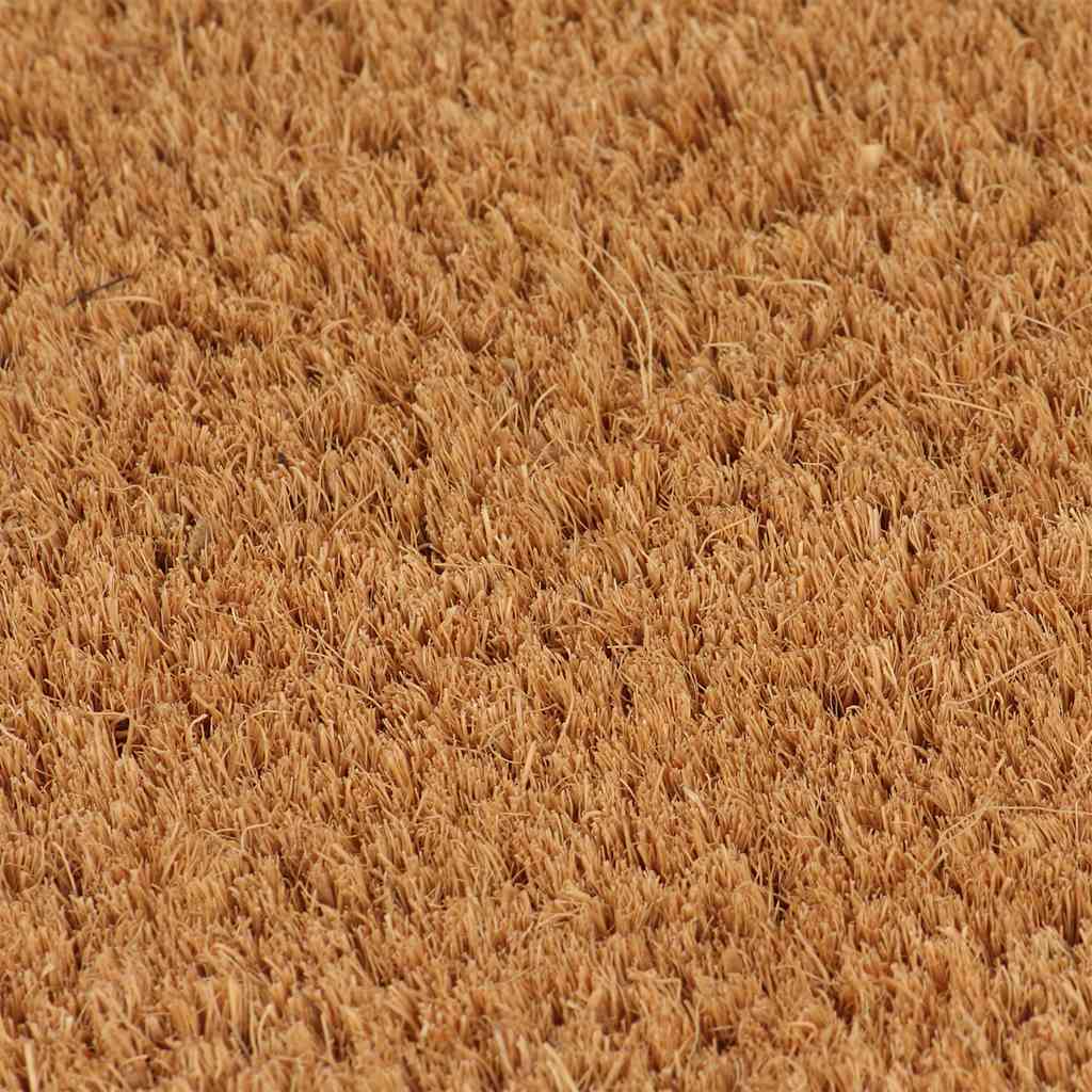 vidaXL Door Mat Natural 100x200 cm Tufted Coir