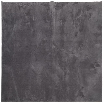 vidaXL Rug HUARTE Short Pile Soft and Washable Anthracite 120x120 cm