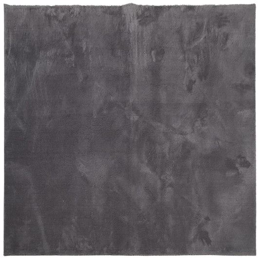 vidaXL Rug HUARTE Short Pile Soft and Washable Anthracite 160x160 cm
