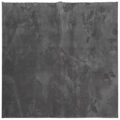 vidaXL Rug HUARTE Short Pile Soft and Washable Anthracite 200x200 cm